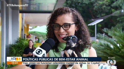 Entenda como vai funcionar o calendário mensal de ações de bem-estar animal em Palmas