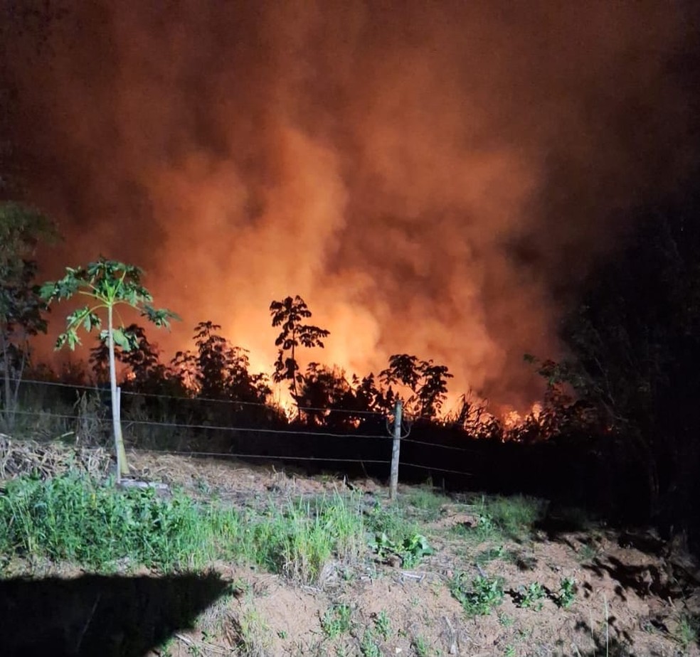 Fogo atingiu área de vegetação na noite de domingo (13) — Foto: Portal de Notícias Guia Online Parapuã