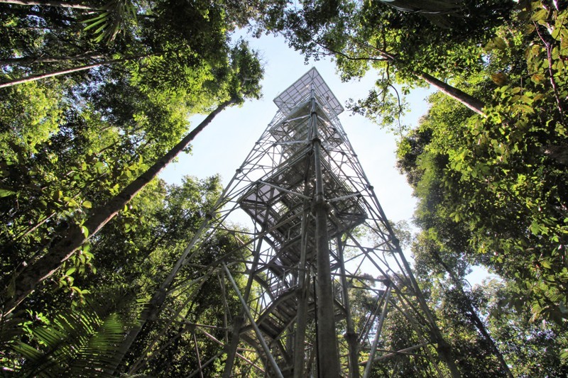Conheça o museu no Amazonas que fica dentro de uma das maiores florestas urbanas do país
