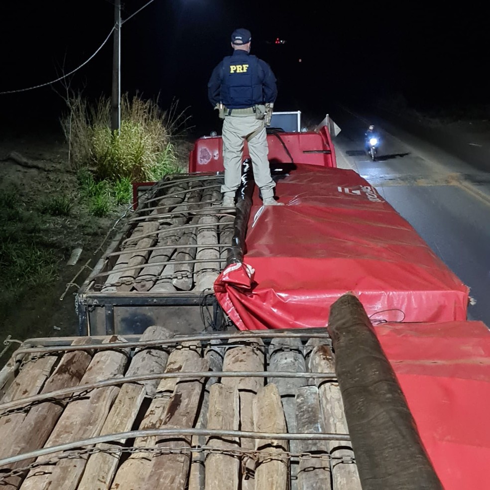 Carga de Acapu era transportada ilegalmente em caminhão bitrem — Foto: Divulgação