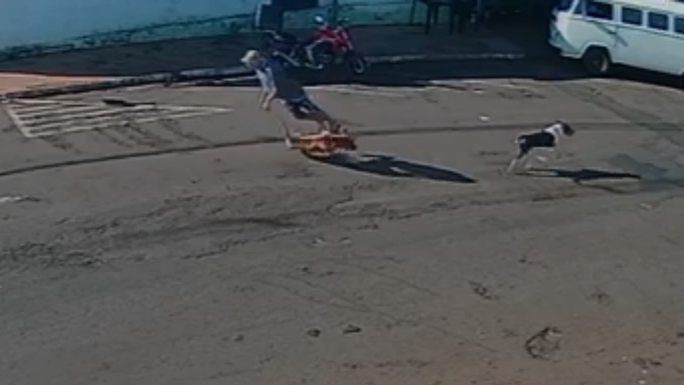 Idoso é 'atropelado' por cachorro que corria na rua em Piacatu (SP) — Foto: Reprodução/Câmera de segurança