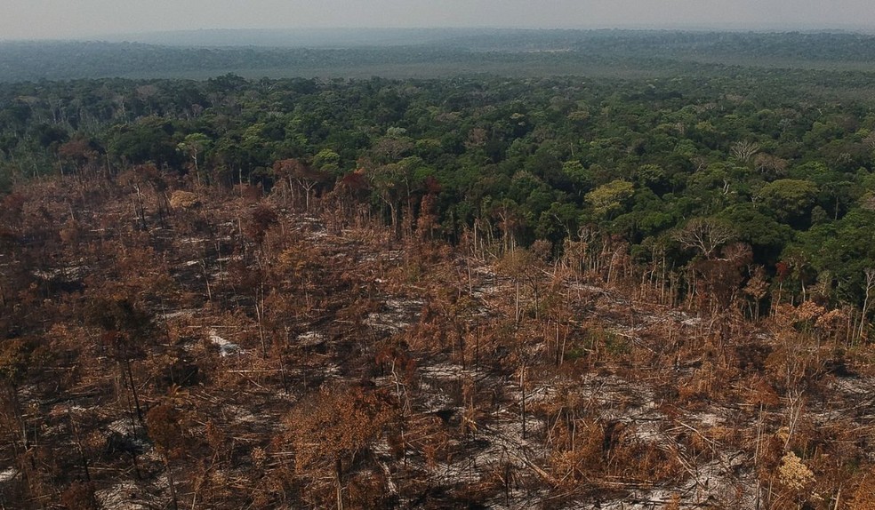 O preço do desmatamento: estudo revela que derrubada da floresta fez chuva sumir em 25% — Foto: Bruno Kelly/Amazônia Real