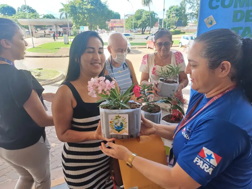 Hospital Regional doa mudas de plantas para pacientes e acompanhantes em Santarém 