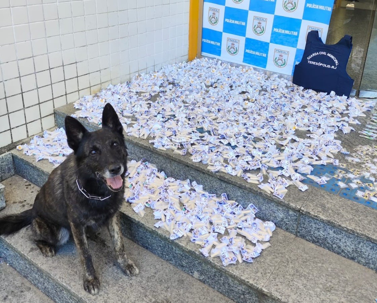 Operação com apoio do Canil K9 apreende mais de 2 mil porções de drogas em Teresópolis