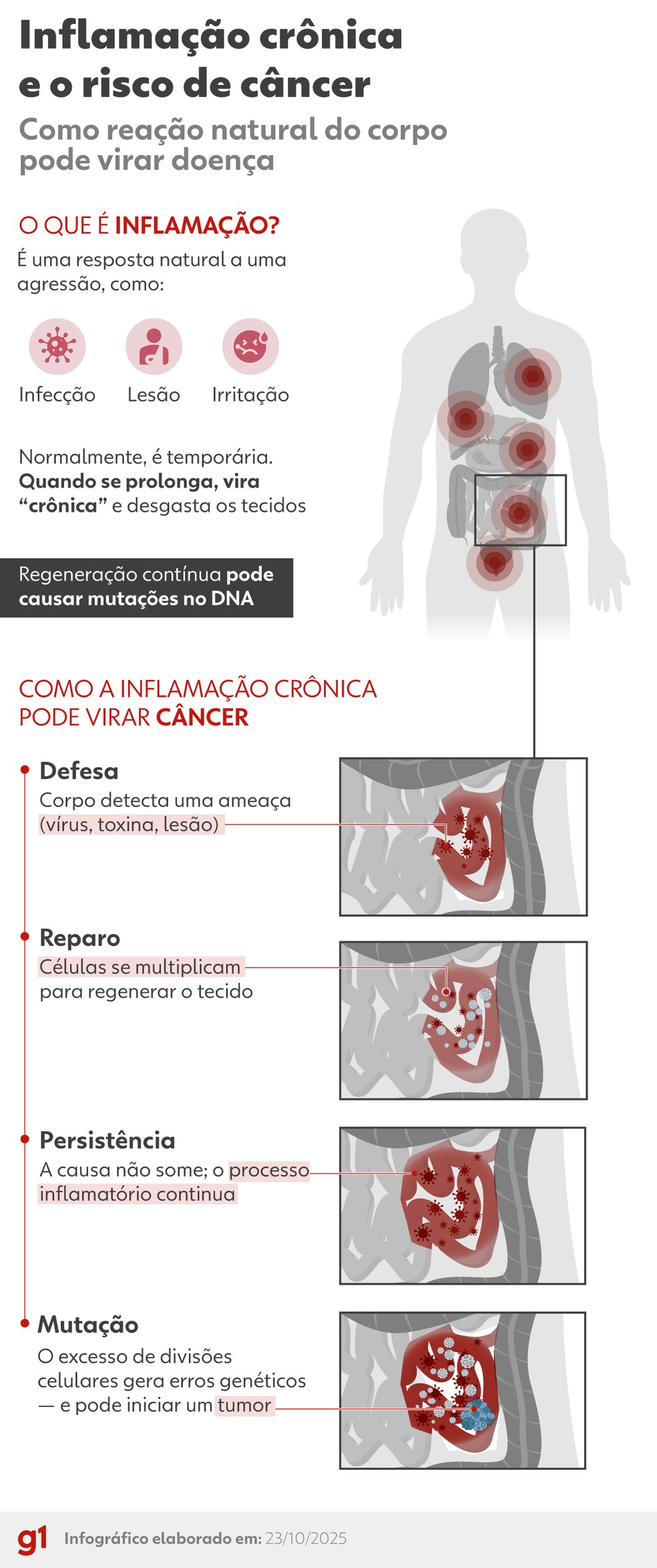 Inflamação crônica e o risco de câncer. — Foto: Arte/g1