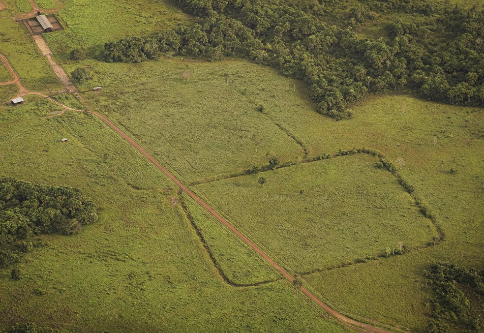 Imagens inéditas de geoglifos no sul do AM — Foto: Valter Calheiros