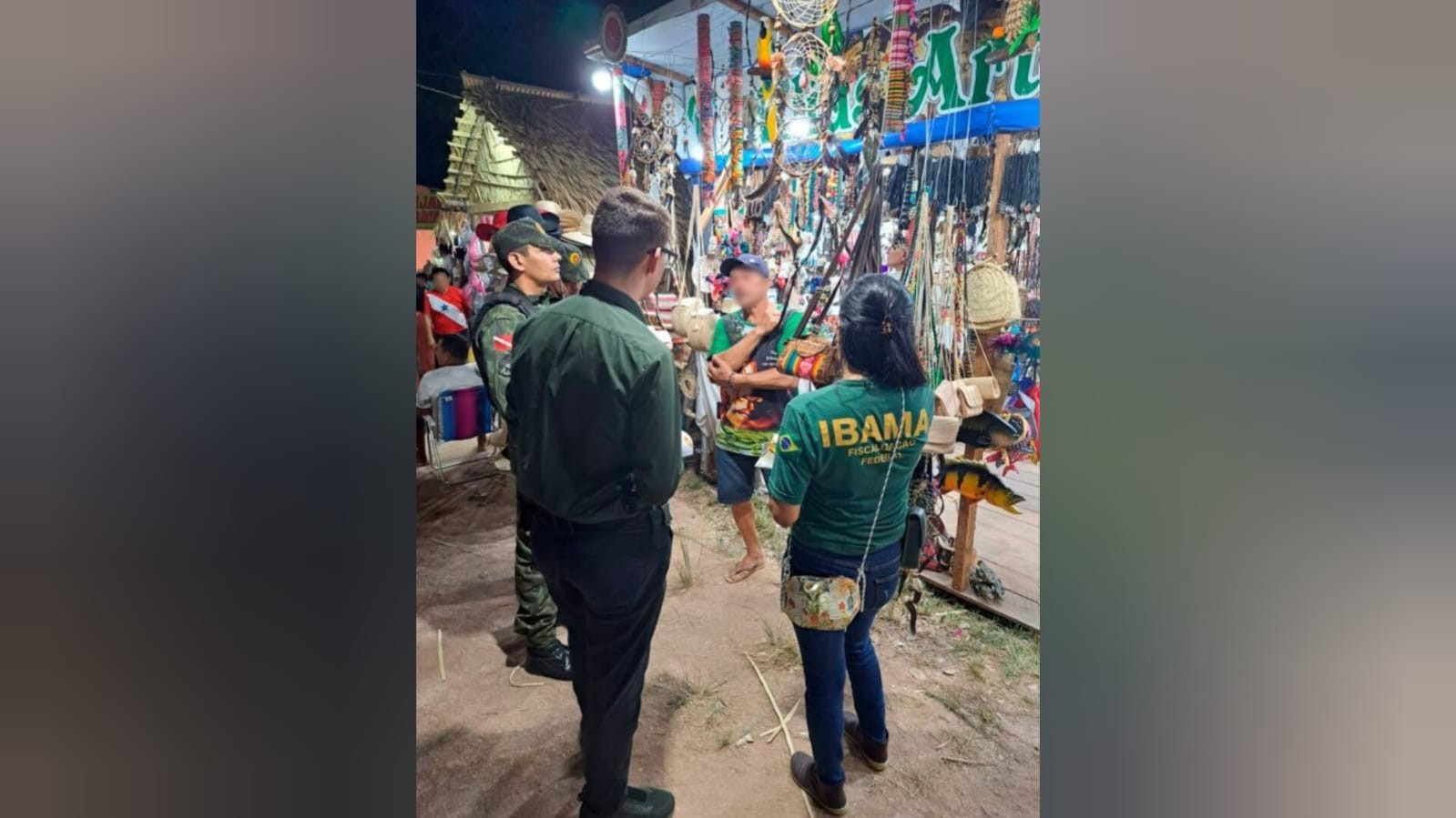 Operação no Pará apreende 51 itens de fauna silvestre durante Festival do Sairé 2025
