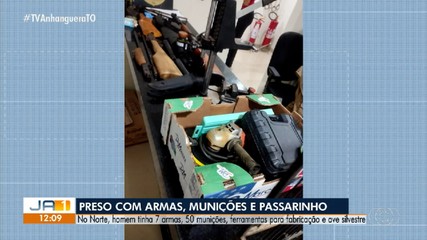 Homem é preso com armas de fogo e ave silvestre em Muricilândia