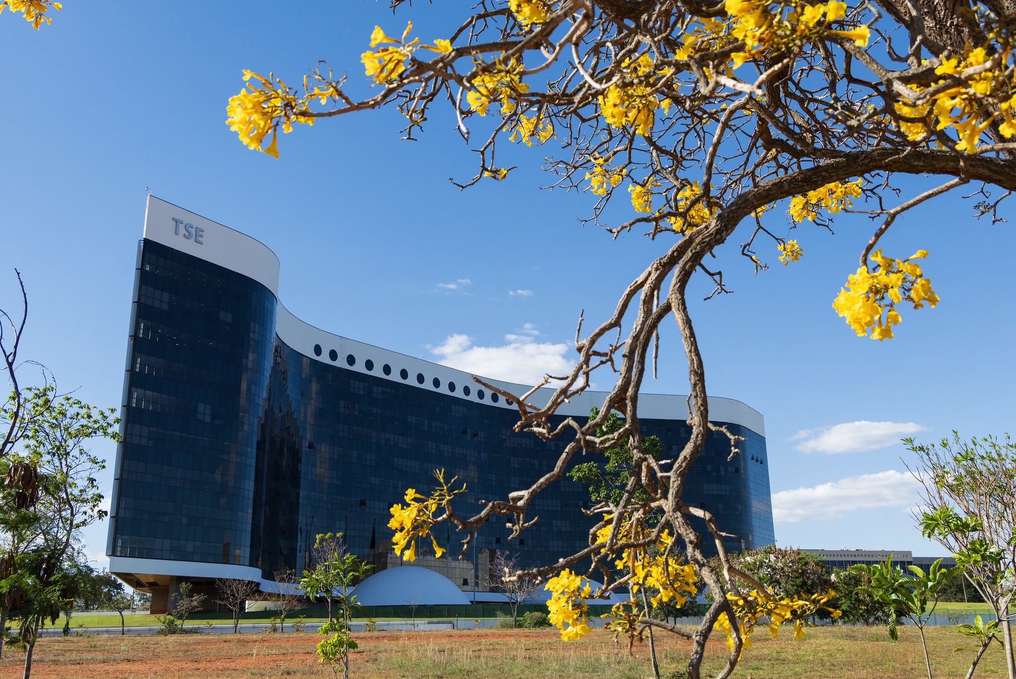 TSE aumenta exigências para registro de pesquisas eleitorais