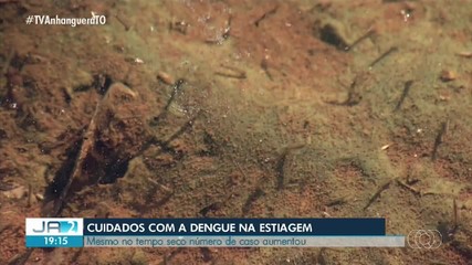 Mesmo no tempo seco número de casos de dengue aumenta no Tocantins