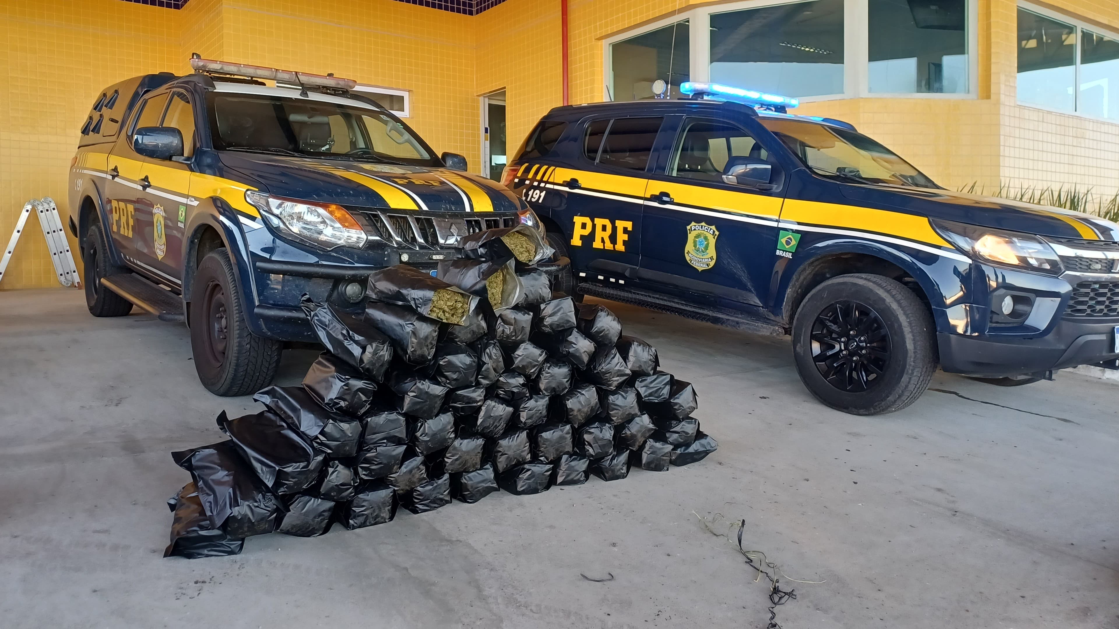 Dois homens são detidos com 51 kg de 