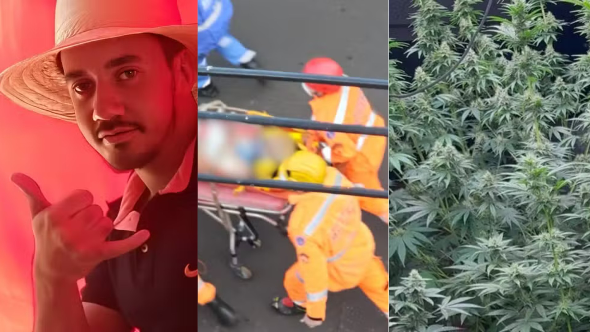 Você viu? Filho suspeito de matar assassino da mãe, trabalhador sobrevive a choque de 14 mil volts e mulher revela estufa de maconha