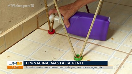 Tocantins recebe novas doses da vacina contra dengue, mas vacinação está em baixa