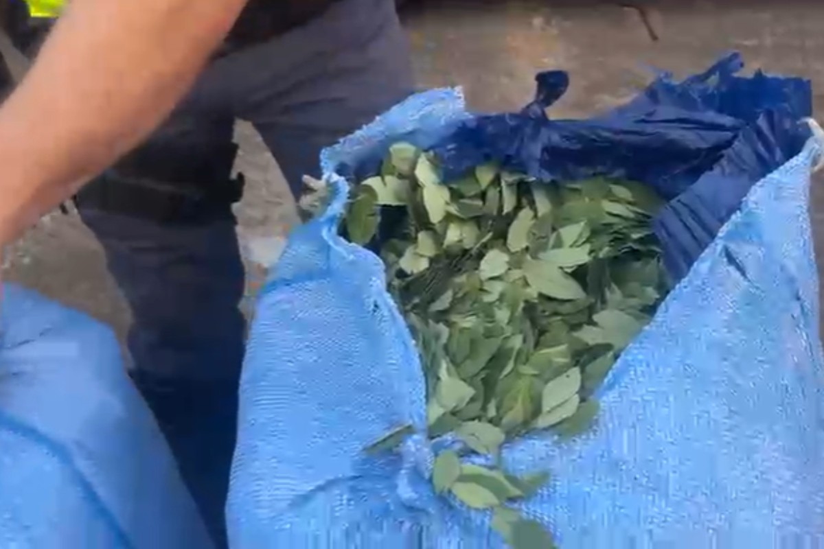 Bolivianas são detidas com mais de 250 kg de folhas de coca e haxixe em ônibus na SP-270