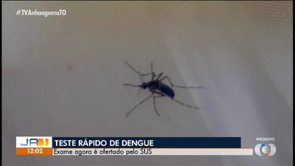 Teste rápido da dengue é ofertado no SUS; saiba mais