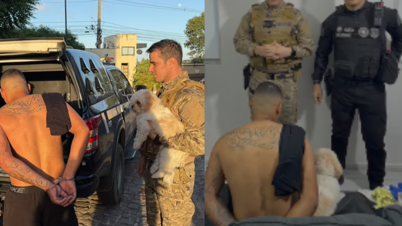 Vídeo: Cão fica ao lado de tutor algemado durante 'voz de prisão' e quase é levado para delegacia em Teresina