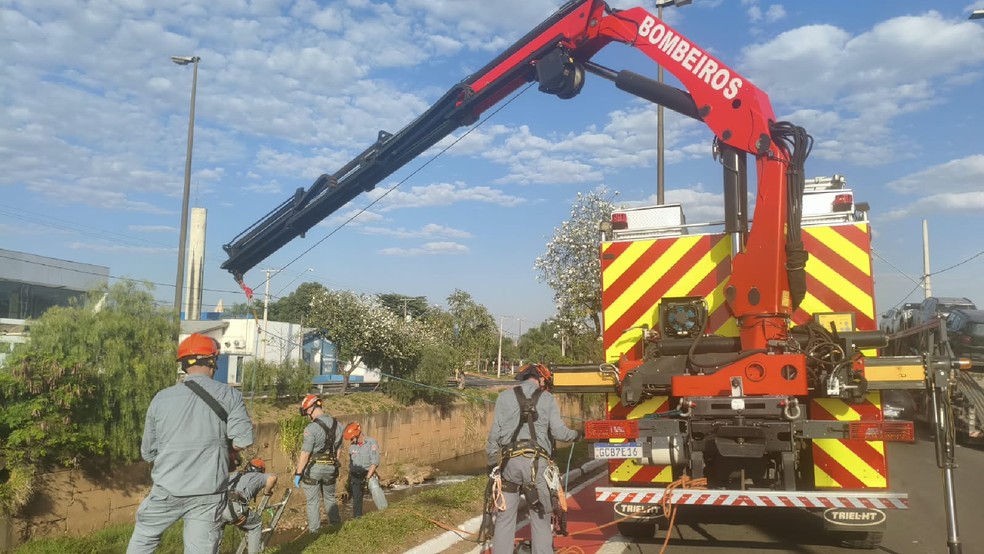 2 de 2
Corpo de Bombeiros atendeu a ocorr&ecirc;ncia &mdash; Foto: Corpo de Bombeiros