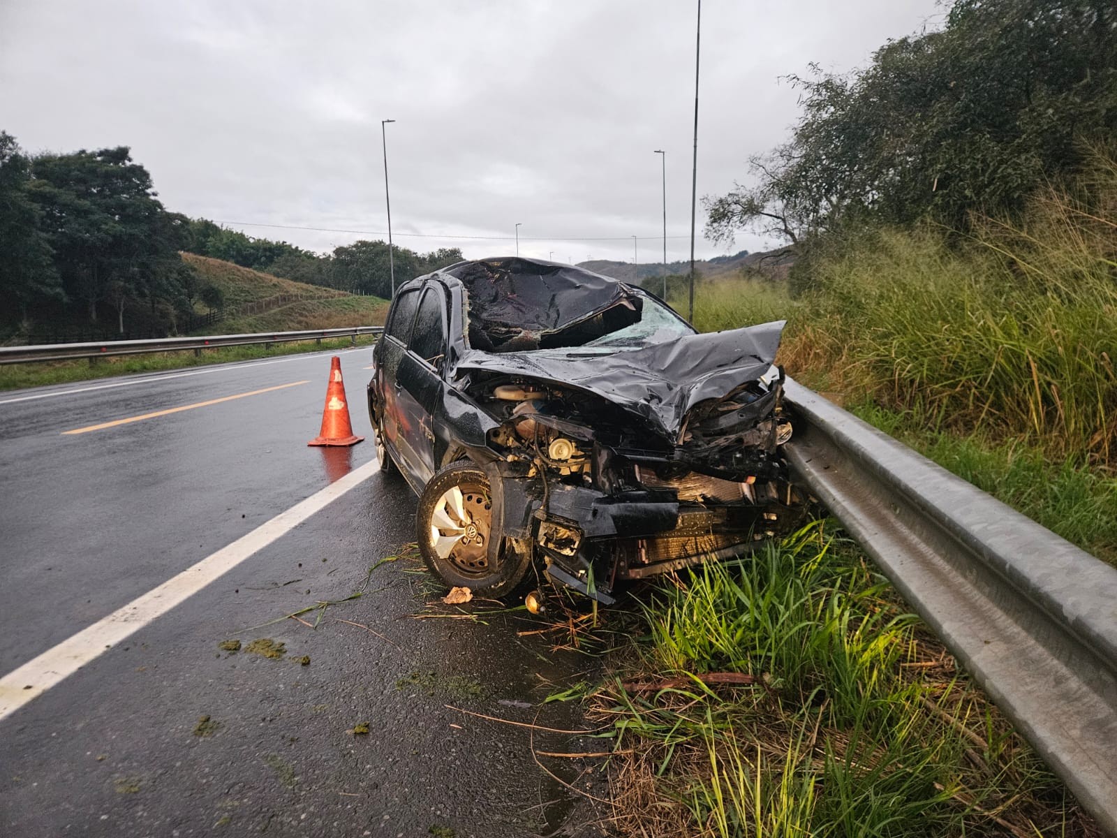 Cavalo morre atropelado na BR-393, em Barra do Piraí