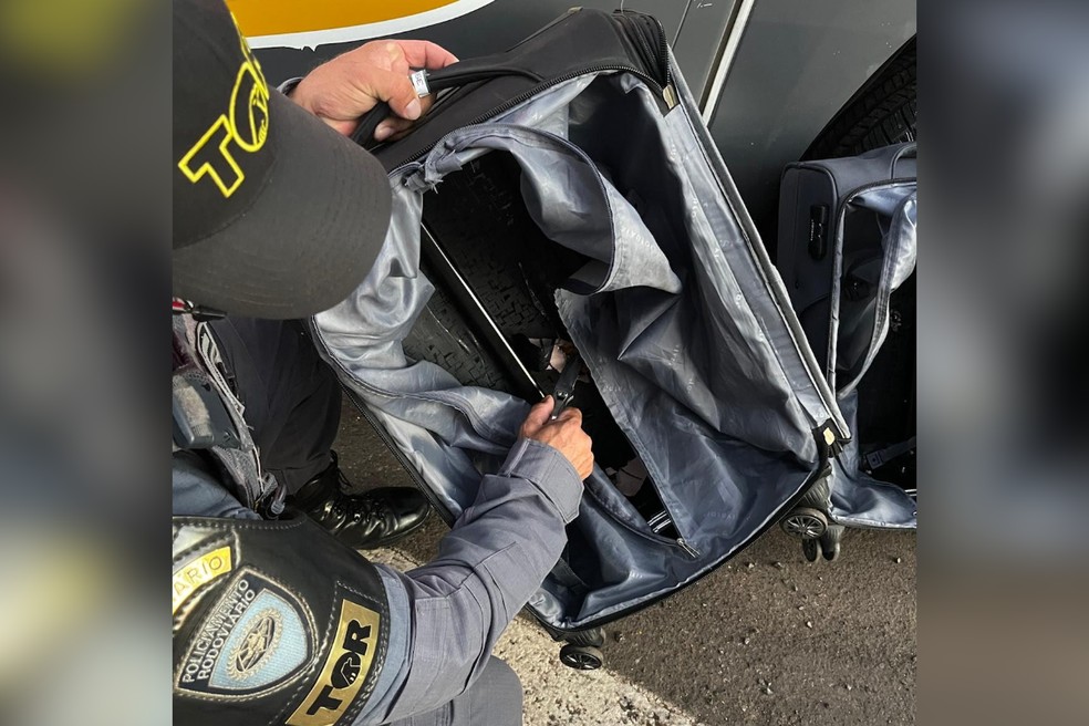 Fundo falso foi identificado em malas e droga foi apreendida — Foto: Polícia Rodoviária/Divulgação