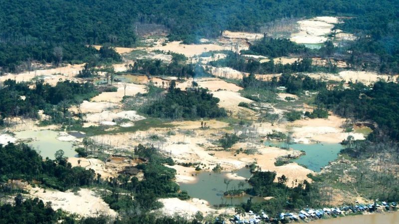 MPF processa o Facebook por permitir conteúdos que incentivam garimpo ilegal na Amazônia
