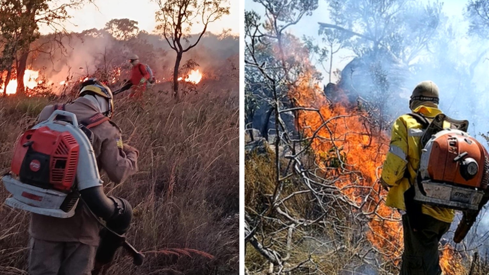 Incêndios atingem diferentes pontos da Chapada dos Veadeiros, em Goiás
