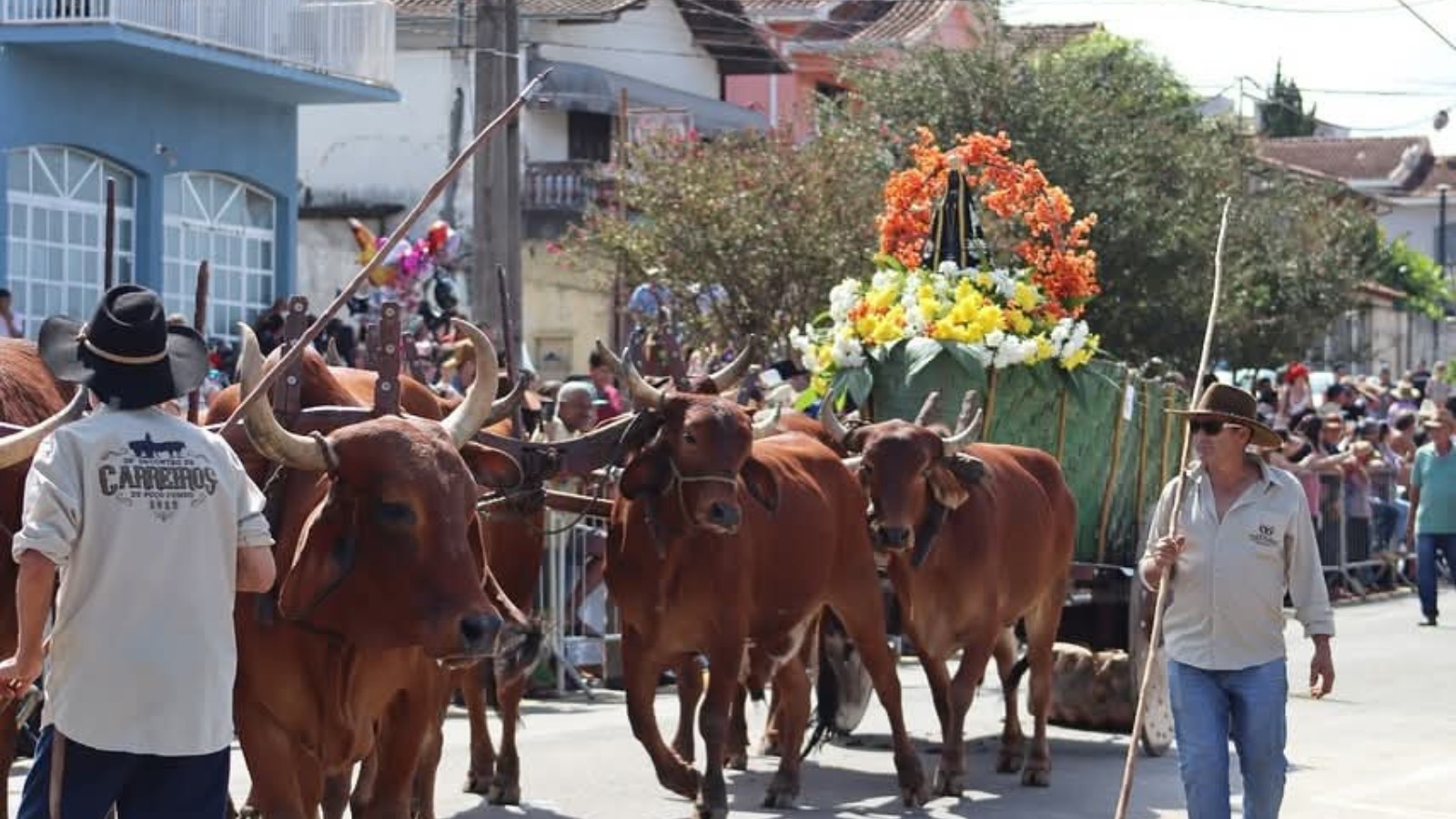 Carros de boi durante encontro tradicional em Poço Fundo