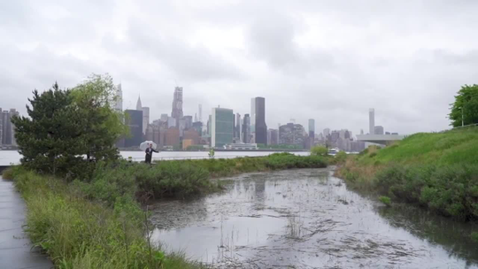 Parque de Nova York foi projetado para funcionar como esponja que absorve a água e evita que ela escoe para a cidade  - Programa: Fantástico 