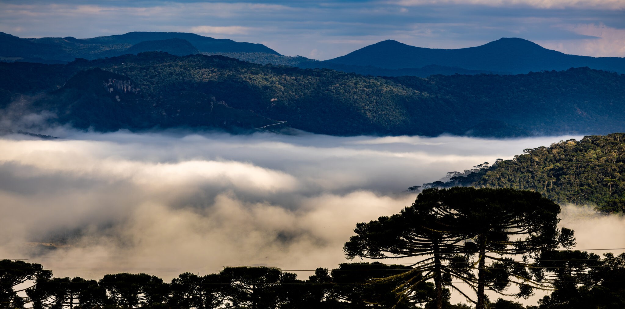 SC registra -3,07°C e amanhece com temperaturas negativas em ao menos 13 cidades; veja lista