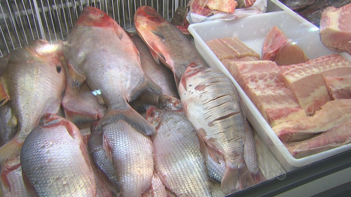 Estudo detecta ingest&atilde;o de merc&uacute;rio 31,5 vezes acima do recomendado em  peixes no Acre | Amaz&ocirc;nia | G1