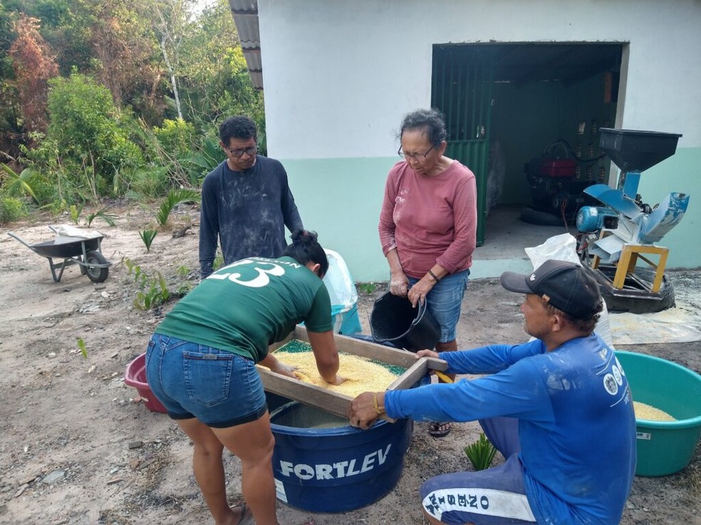Produção de ração para peixes na comunidade Anã, na Resex Tapajós-Arapiuns — Foto: Ascom PSA / Divulgação