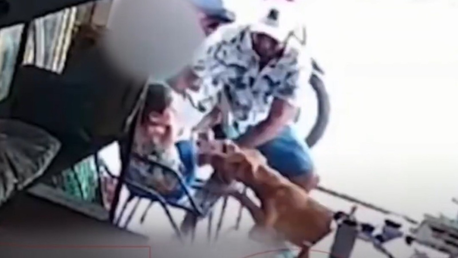 Criança de 5 anos é atacada por cão na calçada no Ceará; vídeo