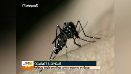 Prefeitura de Gurupi instala armadilhas para mosquito da dengue