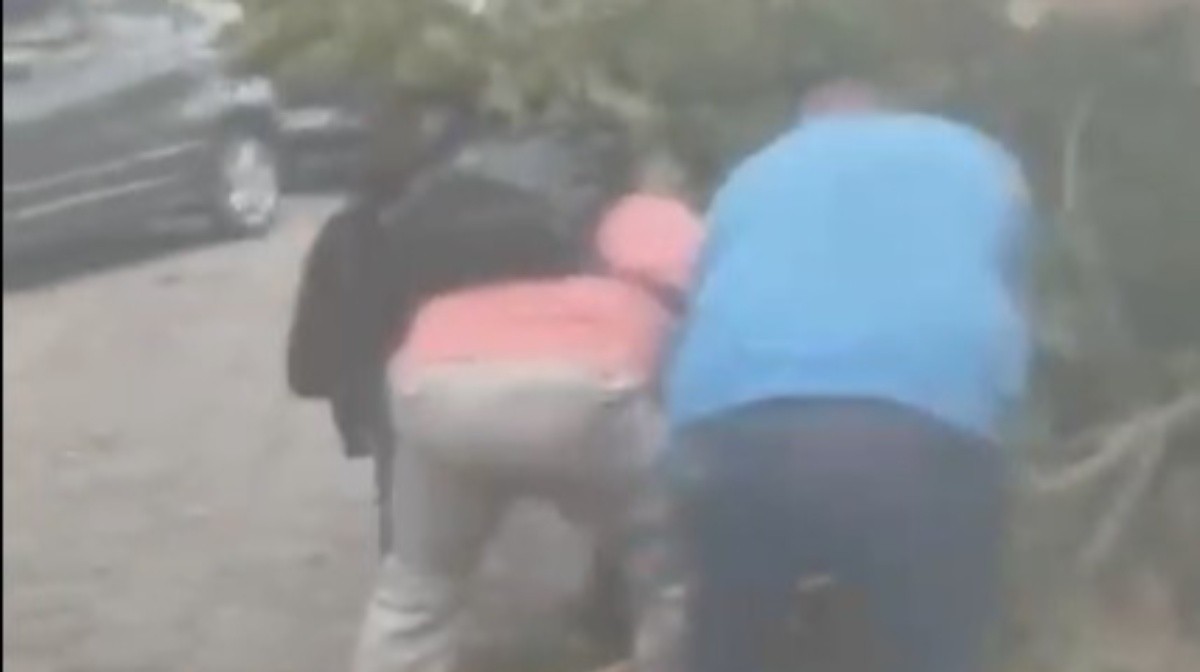 Funcionária da Fiocruz fica ferida após ser atingida por árvore durante ventania no RJ