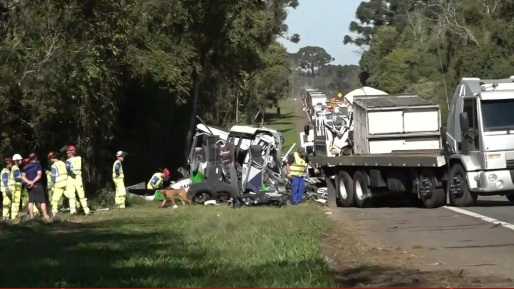 Acidente com 23 mortos e 5 feridos no PR: PRF diz que caminhão invadiu pista contrária e bateu de frente com micro-ônibus
