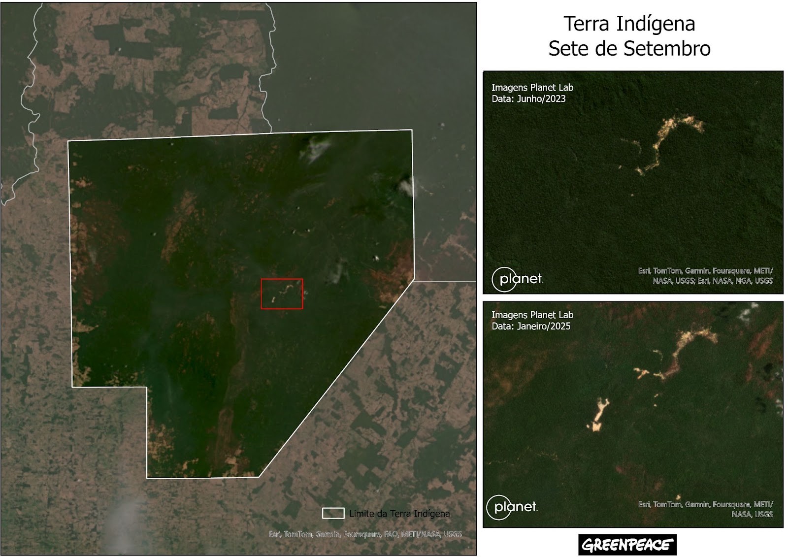 Garimpo avança em Terra Indígena de Rondônia, mostram imagens de satélite divulgadas pelo Greenpeace