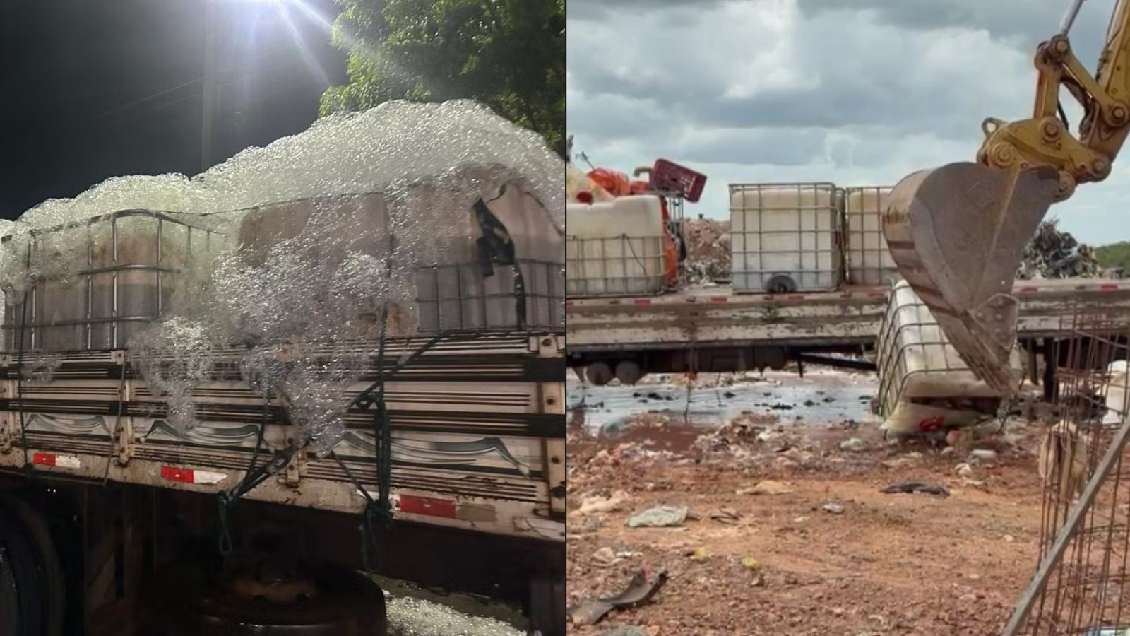 1,5 tonelada de tilápias vivas avaliada em R$ 15 mil é descartada em aterro sanitário após apreensão