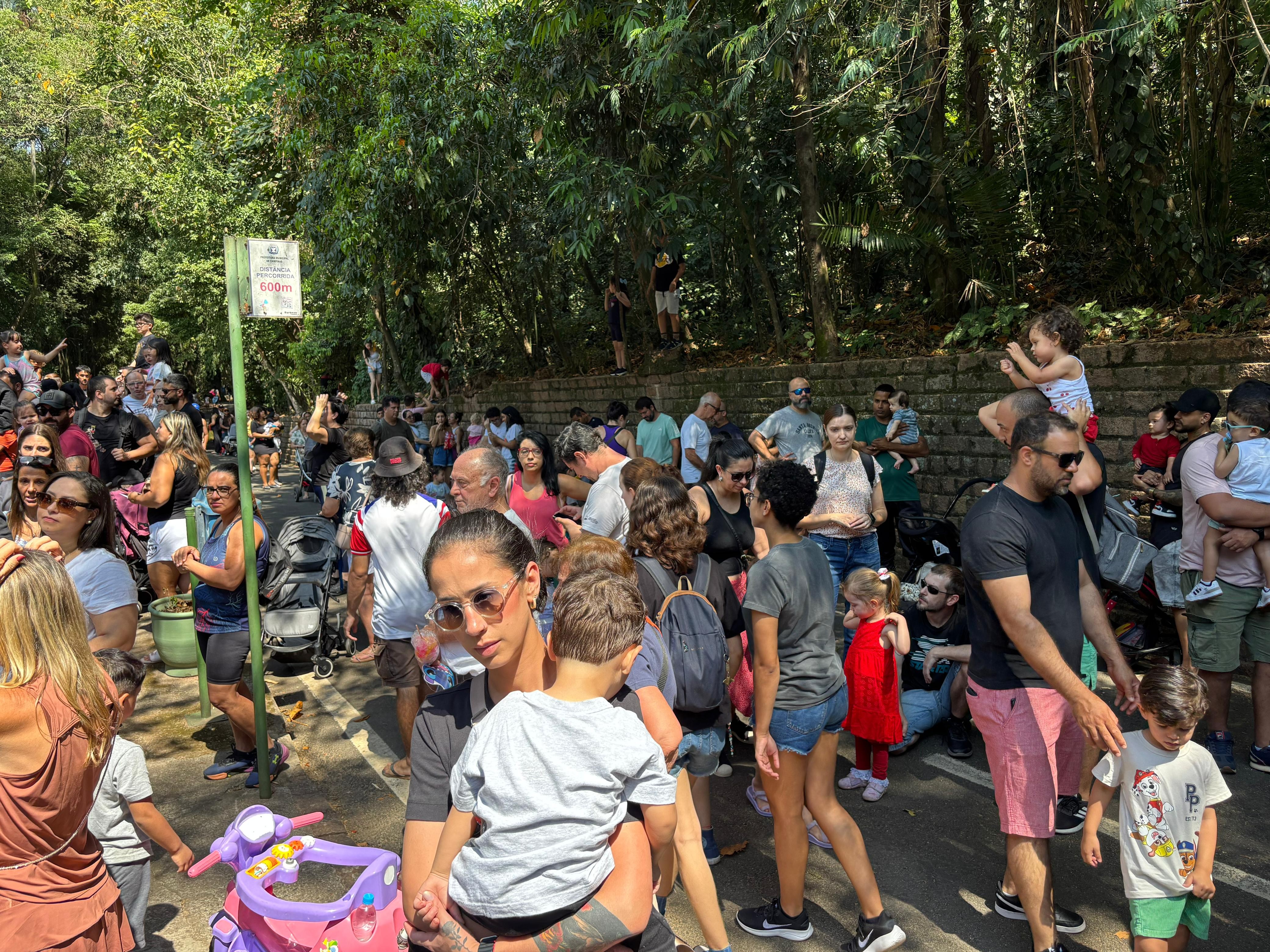 'Fãs' de Dinho: público lota festa de aniversário de hipopótamo de 19 anos em Campinas