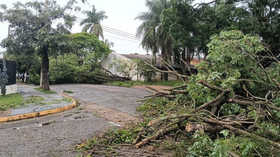 Aproximadamente 300 pessoas ficam desalojadas em Rosana neste domingo (4) — Foto: Reprodução/Defesa Civil