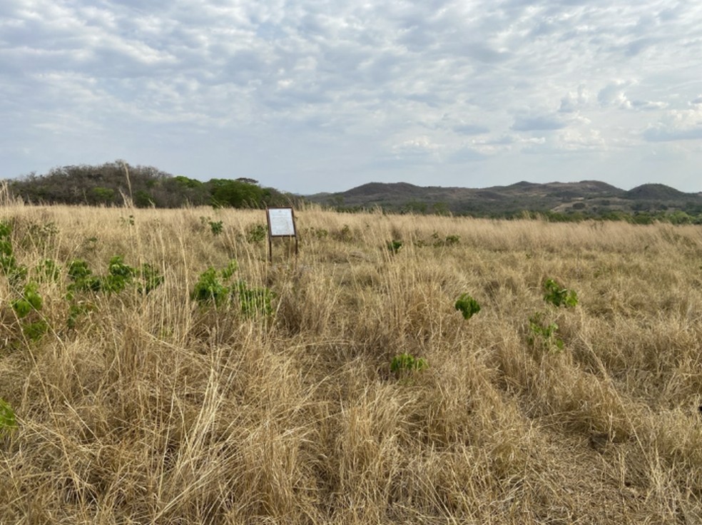 Local onde a placa foi instalada mostra abandono do Domo de Araguainha — Foto: Ministério Público Federal (MPF)