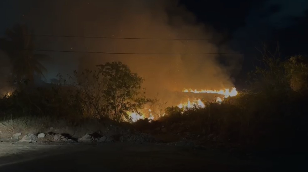 Incêndio atingiu terreno em Neópolis — Foto: Kleber Teixeira/Inter TV Cabugi