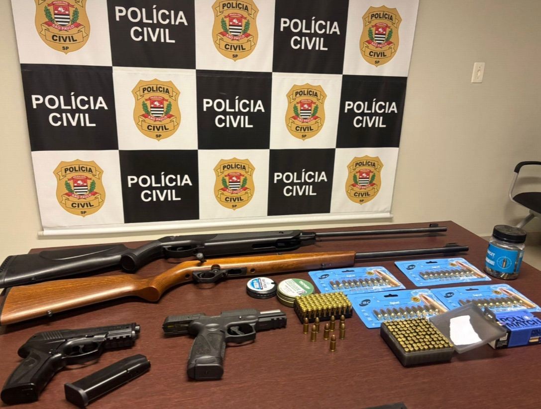 Polícia apreende armas e munições em investigação de violência doméstica