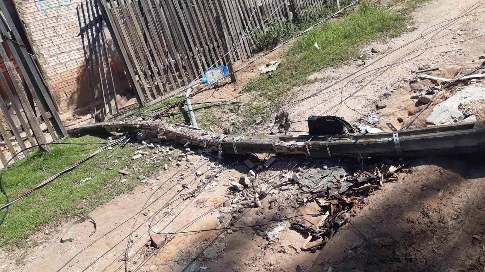 Árvore cai durante vendaval, derruba postes e deixa famílias sem energia no bairro Ipanema, em Santarém 