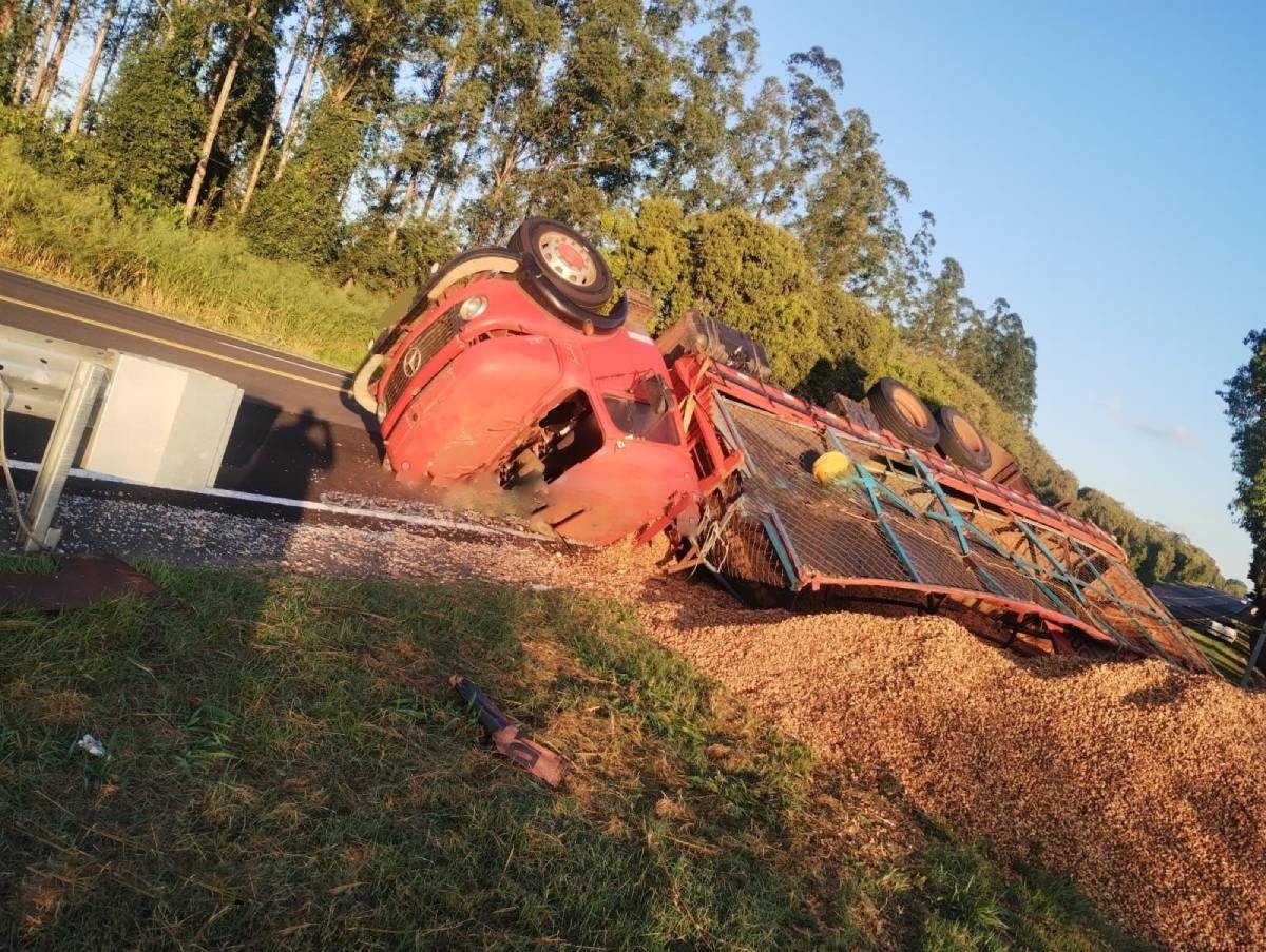 Caminhão carregado com toneladas amendoim tomba e interdita rodovia em Iacri