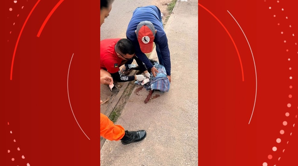 Homem é indiciado por maus-tratos após decepar pata de cão com golpes de facão no Amapá