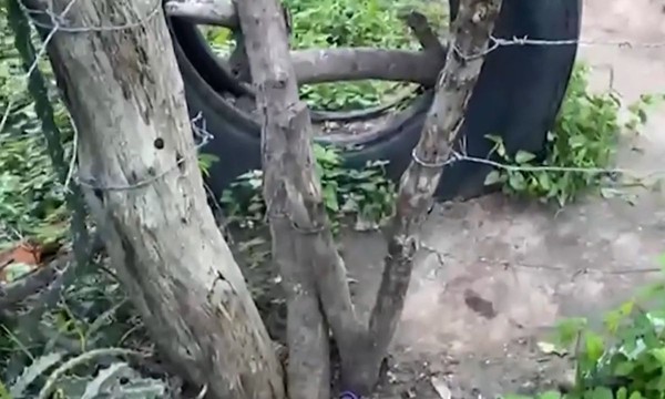 Homem foi encontrado morto preso na porteira da fazenda em que morava, na zona rural de Itiúba. — Foto: Reprodução/TV São Francisco