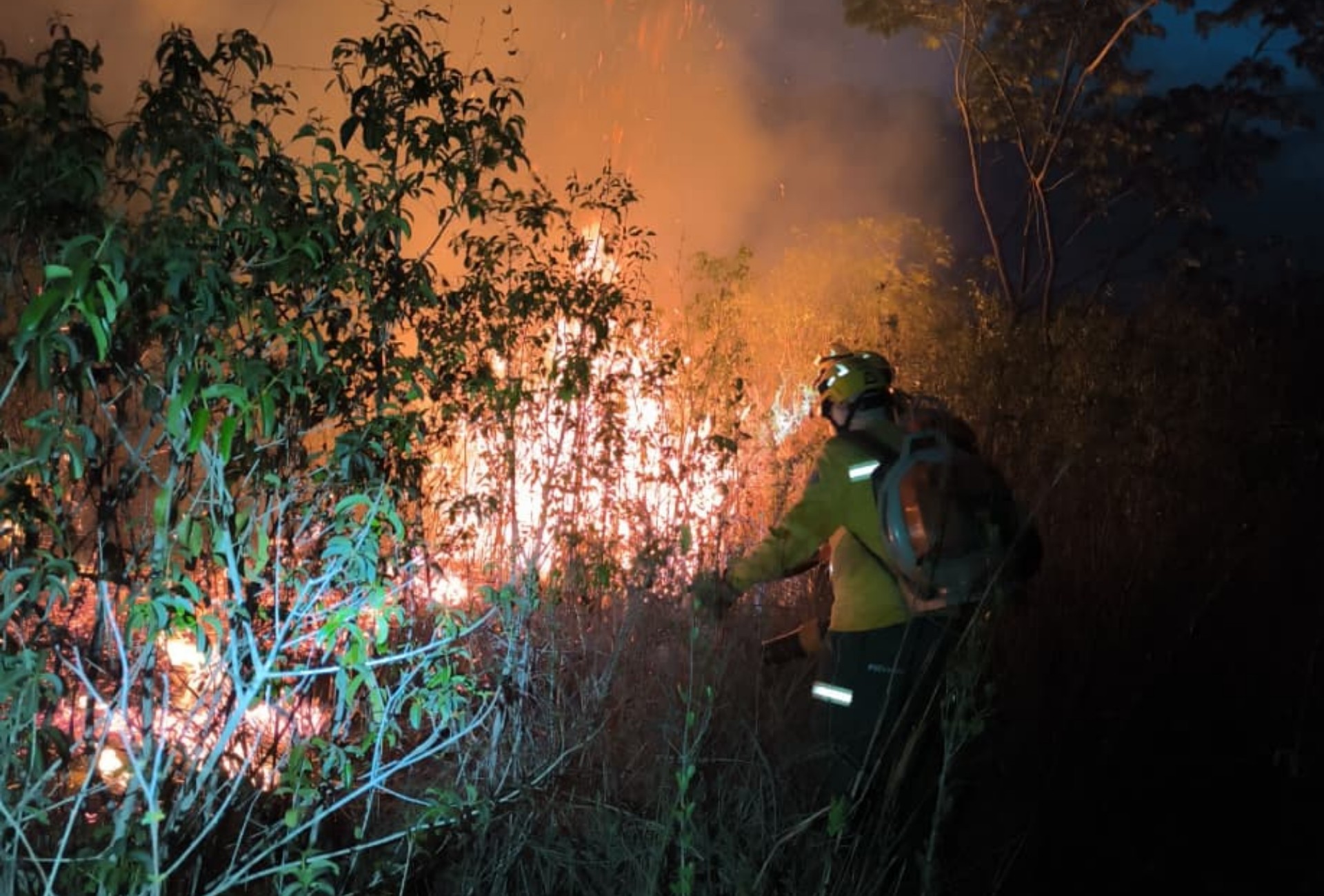 Brigadistas se dividem em turnos ininterruptos há 4 dias para combater incêndio no Pantanal