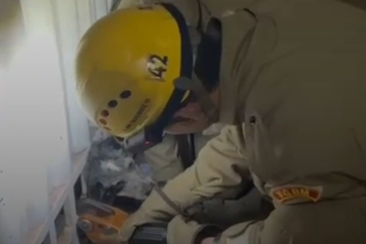 Cachorro fica com a cabeça presa em portão e precisa ser resgatado por bombeiros em MS