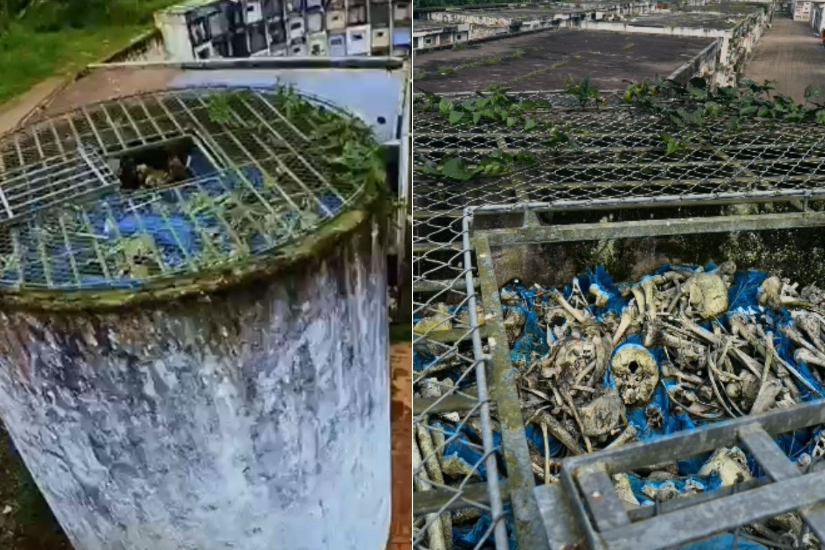 Ossadas humanas ficam expostas em torre de cemitério no litoral de SP; VÍDEO