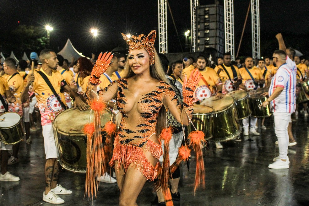 Ana Beatriz no Sambódromo com a Rosas de Ouro. — Foto: Fotos: Wellington Moura / Adilson Marques / Divulgação