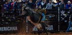 Final da etapa de Americana da PBR reuniu dez competidores na noite deste domingo (7) — Foto: Thomaz Marostegan